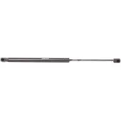 RIDEX 219G0845 Gasveer achterklep