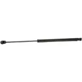 RIDEX 219G0157 Gasveer achterklep