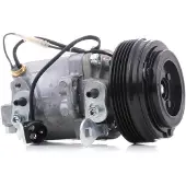RIDEX 447K0224 Aircopomp