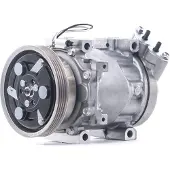 RIDEX 447K0270 Aircopomp
