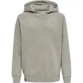 Hummel Sweatshirt 'Red Classic' grijs