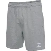 Hummel Sportbroek 'GO 2.0' stone grey / wit