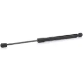 RIDEX 219G1102 Gasveer achterklep