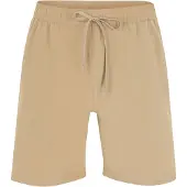 Quicksilver Zwemshorts 'TAXER AM' donkerbeige