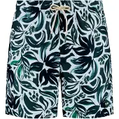 Shiwi Zwemshorts 'MIKE' groen / wit