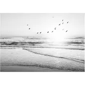 Praxis Schilderij Zonsondergang Cap Ferret - Frankrijk - Atlantische Oceaan - Strand - Slim Frame 70 X 50 Cm Mdf Zwart-wit