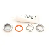 Dt Swiss Ratchet 54t Exp Servicekit