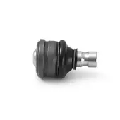 Skf VKDS 815500 Fuseekogel