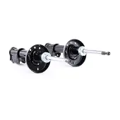 RIDEX 854S1624 Schokdemper