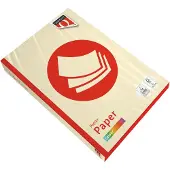 Quantore Kopieerpapier colour a4 120gr ivoor | 5 stuks