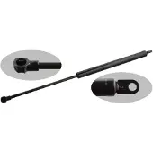 FEBI BILSTEIN 47612 Gasveer achterklep