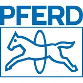 PFERD TOOLS 12808165 Naaldvijl Lengte 160 mm 12 stuk(s)