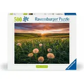 Ravensburger puzzel Nature Edition - paardenbloemen zonsondergang - 500 stukjes.