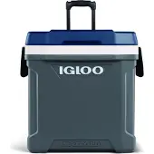 Igloo Maxcold 62R