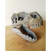 Nemesis Now - Schedels - Tyrannosaurus Rex Schedel - Beeld - 16cm