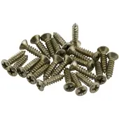 Fender Road Worn Pickguard/Control Plate Screws Nickel (24)