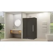 Van Rijn ST09 hoekcabine met rookglas 90x160cm geborsteld RVS