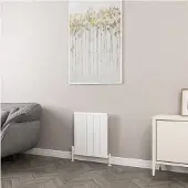 Eastbrook Kingswood paneelradiator 50x60cm 532W wit mat