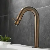 Saniclear Antique gebogen fonteinkraan verouderd messing