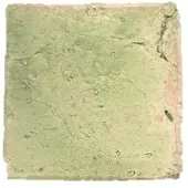Terre d'Azur Tierra vloertegel 10x10cm groen - per 50 stuks