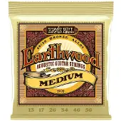Ernie Ball 2002 Earthwood