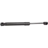 RIDEX 219G0454 Gasveer achterklep