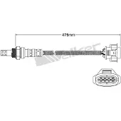 VEGAZ ULS-482 Lambdasonde