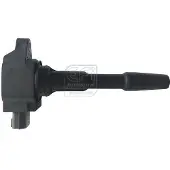 EFI 155313 Bobine