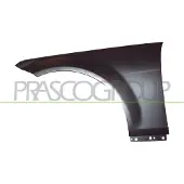 PRASCO ME0293034 Spatbord