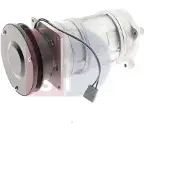 AKS DASIS 851753N Aircopomp
