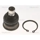 TRISCAN 8500 14556 Fuseekogel