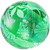 Swim Essentials Strandbal Tropical Transparant