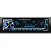 RIDEX 100025A0002 Autoradio