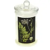 MEA Glass jar with Candle lid, flute herb Ø7,5x16cm rose