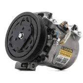 RIDEX 447K0464R Aircopomp