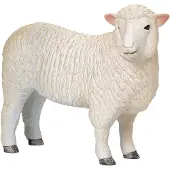 MOJO farmland romney schaap ooi - 381064