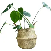 QUVIO Decoratieve opbergmand van vlas met handvaten - 26 x 25 cm