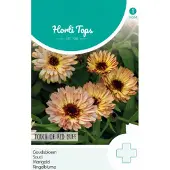 Hortitops - Zaden goudsbloem touch of red buff 0.75 gram