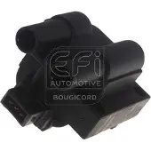 EFI 155013 Bobine