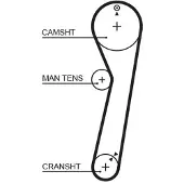 Gates 5029 Distributieriem