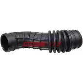 Fast Sports Nutrition FT61675 Radiateurslang