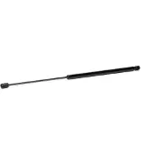 RIDEX 219G0746 Gasveer achterklep