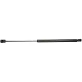 RIDEX 219G0784 Gasveer achterklep
