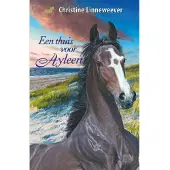 Kluitman Alkmaar, Uitgeverij Een thuis voor Ayleen Boek