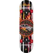 Playlife Skateboard