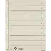 Leitz Staffeltabblad Karton - Beschrijfbare Tabs, 2/4-rings - Voor Ordners en Ringbanden - Grijs