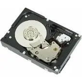 Dell 4TB 7.2K 3,5" SAS 6Gbps harde schijf