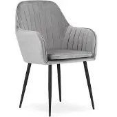 Leobert LUGO Velvet Design Stoelen – Set van 2 – Zilvergrijs Fluweel – Zwarte Metalen Poten – Met Armleuningen – Afneembare Hoes – Max. 120 kg