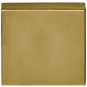Formani Basics BSQB53 blind afdekplaatje vierkant - PVD mat goud