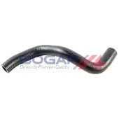 BOGAP C4228147 Radiateurslang